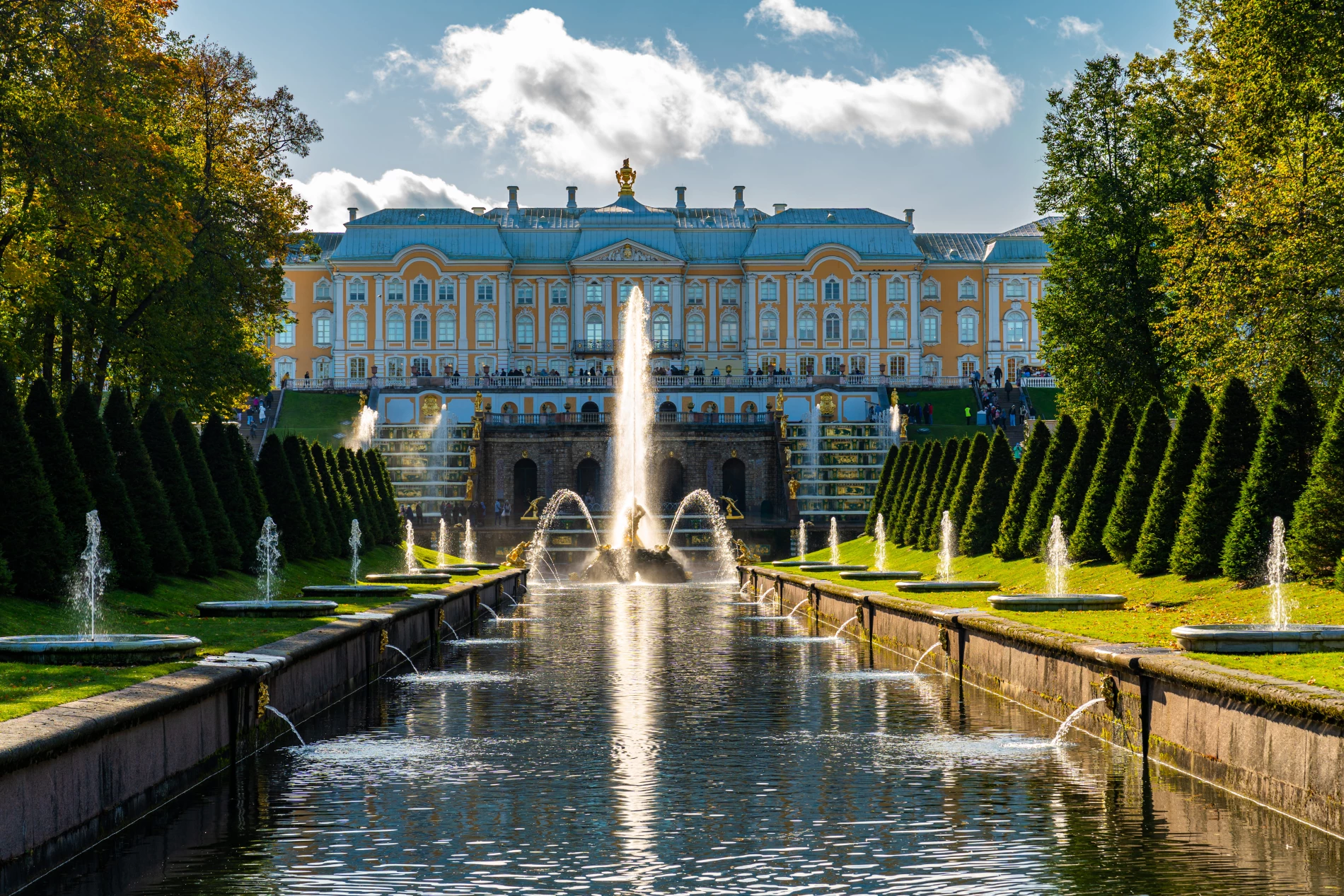 Фото и видео